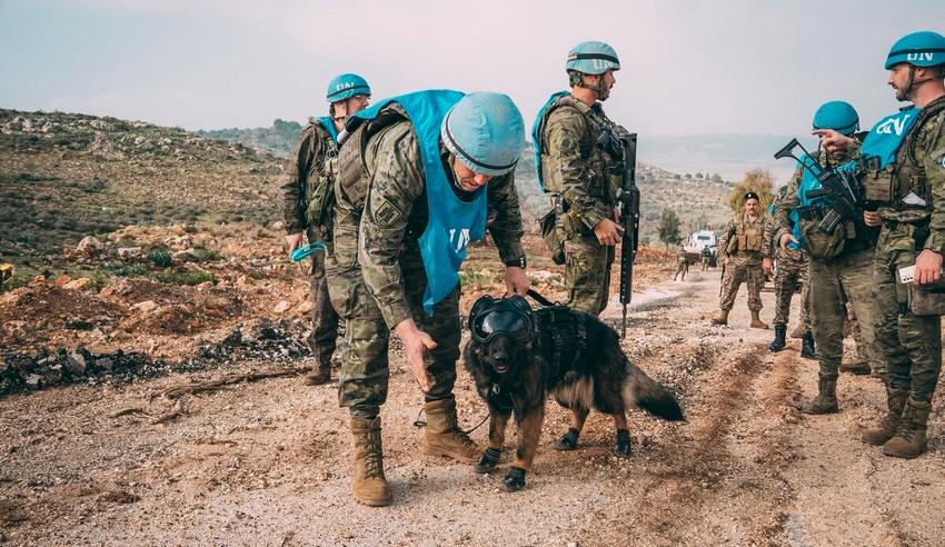 Demining.850 3