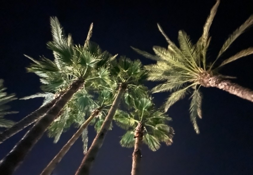 werkbezoek 20 11 2025.850 17