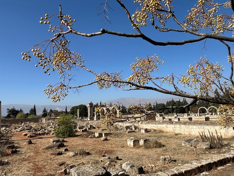 werkbezoek 22 11 2025.850 4