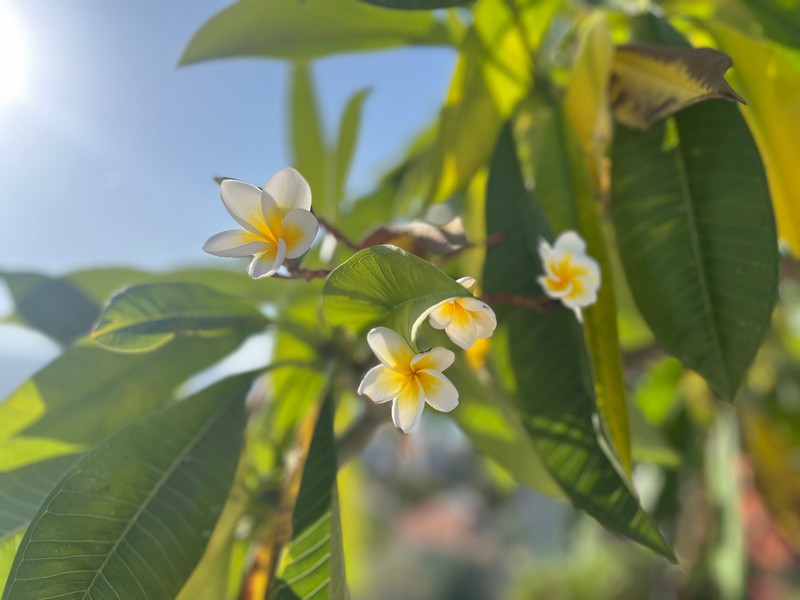 werkbezoek 23 11 2025.850 4